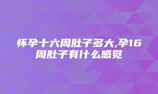 怀孕十六周肚子多大,孕16周肚子有什么感觉