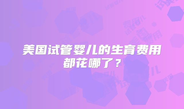 美国试管婴儿的生育费用都花哪了?