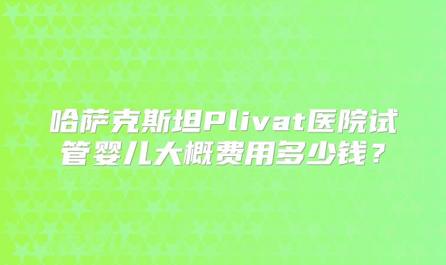 哈萨克斯坦Plivat医院试管婴儿大概费用多少钱？
