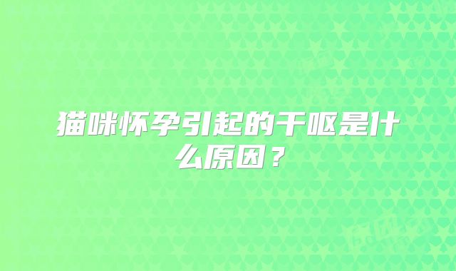 猫咪怀孕引起的干呕是什么原因？