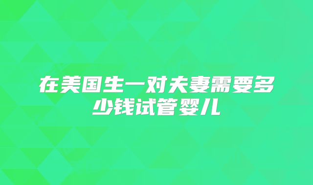 在美国生一对夫妻需要多少钱试管婴儿