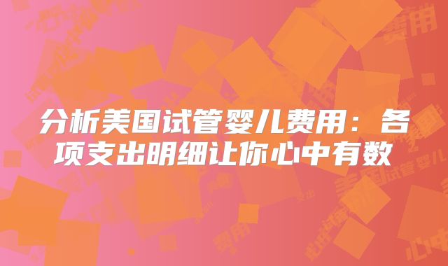 分析美国试管婴儿费用:各项支出明细让你心中有数