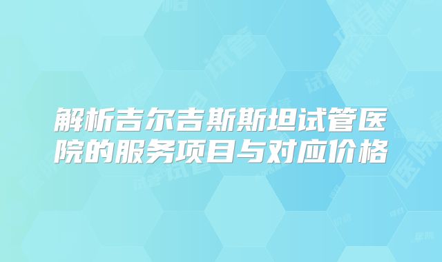 解析吉尔吉斯斯坦试管医院的服务项目与对应价格