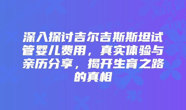 深入探讨吉尔吉斯斯坦试管婴儿费用，真实体验与亲历分享，揭开生育之路的真相