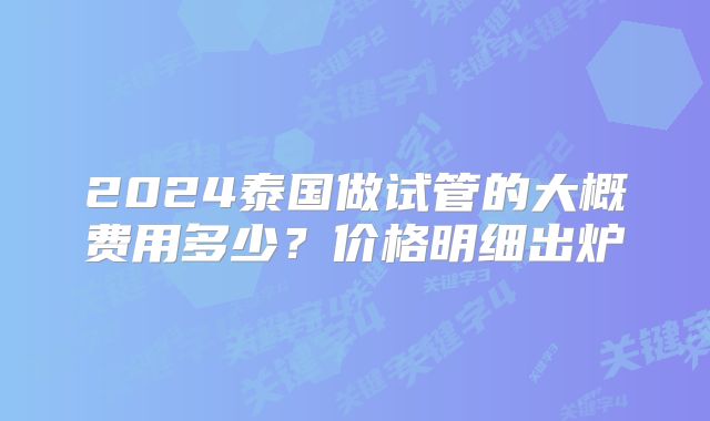 2024泰国做试管的大概费用多少?价格明细出炉