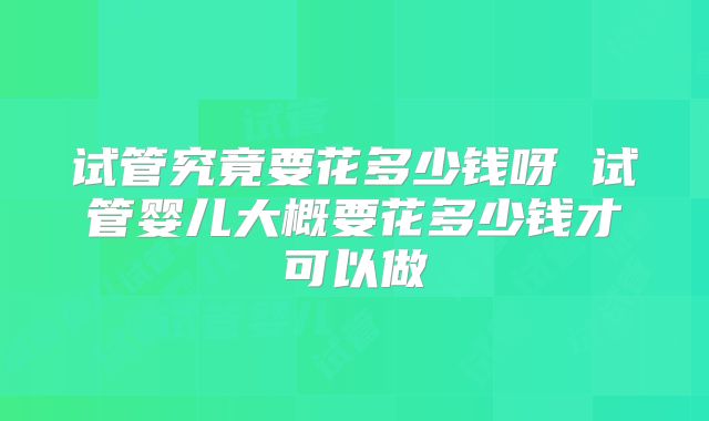 试管究竟要花多少钱呀 试管婴儿大概要花多少钱才可以做