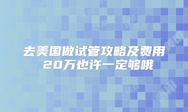 去美国做试管攻略及费用 20万也许一定够哦