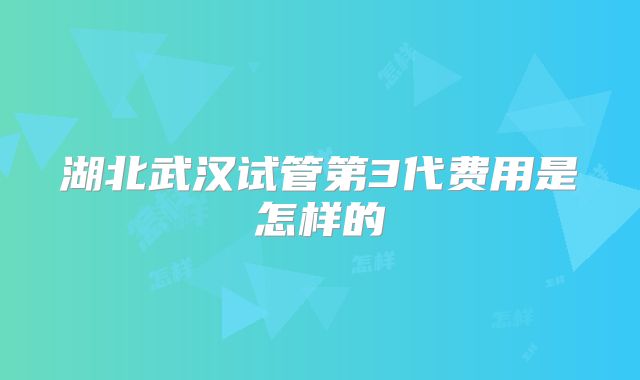 湖北武汉试管第3代费用是怎样的