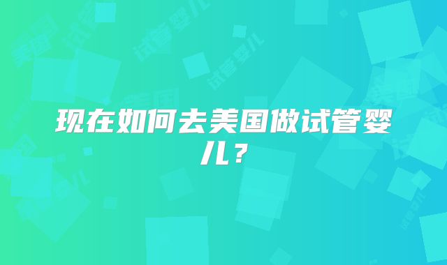 现在如何去美国做试管婴儿？