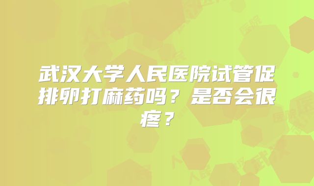 武汉大学人民医院试管促排卵打麻药吗？是否会很疼？