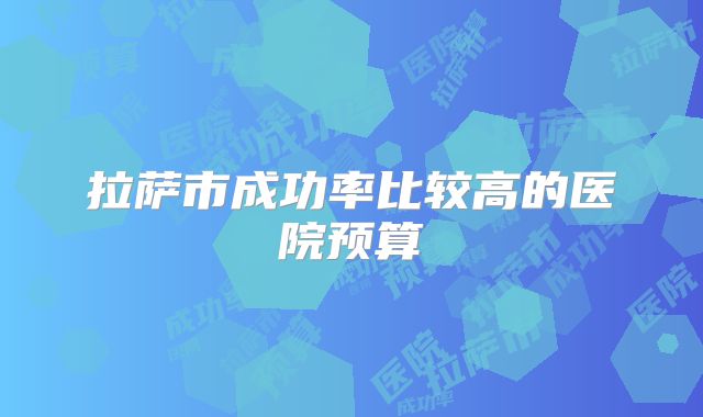拉萨市成功率比较高的医院预算