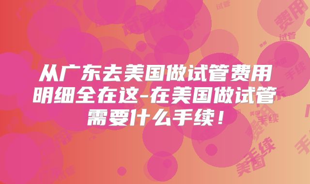 从广东去美国做试管费用明细全在这-在美国做试管需要什么手续！