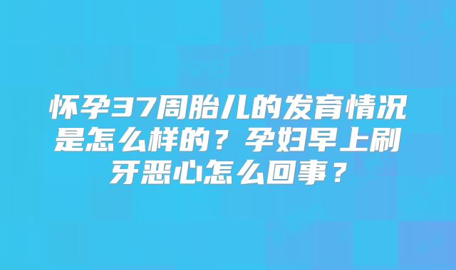 怀孕37周胎儿的发育情况是怎么样的？孕妇早上刷牙恶心怎么回事？