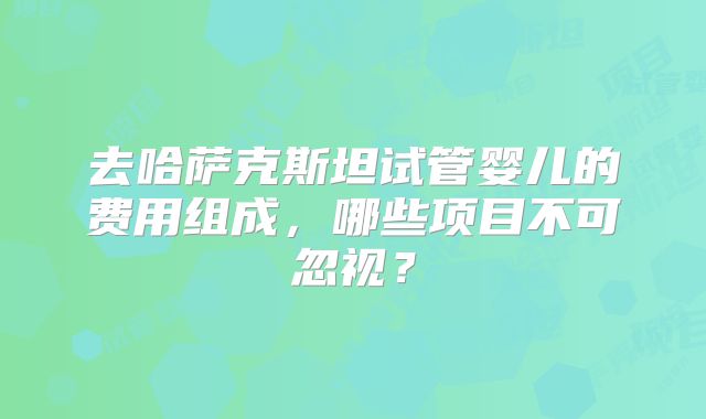 去哈萨克斯坦试管婴儿的费用组成,哪些项目不可忽视?