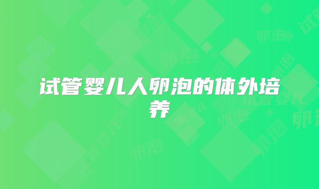 试管婴儿人卵泡的体外培养