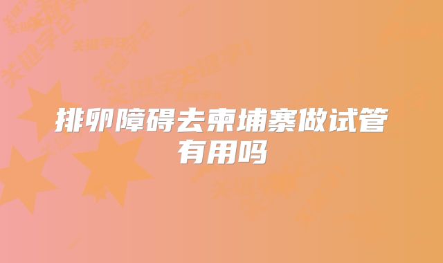 排卵障碍去柬埔寨做试管有用吗