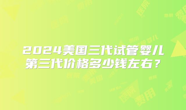2024美国三代试管婴儿第三代价格多少钱左右？