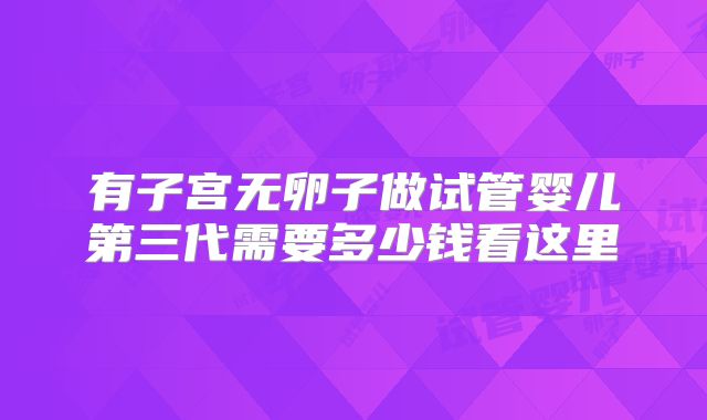 有子宫无卵子做试管婴儿第三代需要多少钱看这里