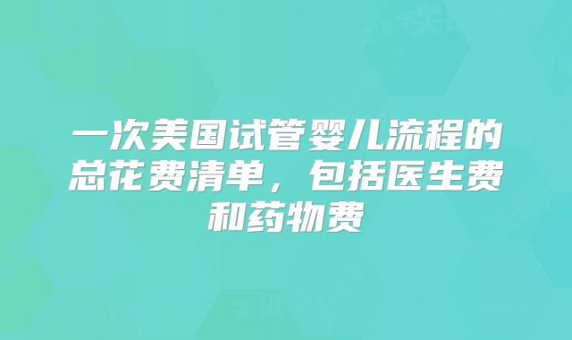 一次美国试管婴儿流程的总花费清单，包括医生费和药物费