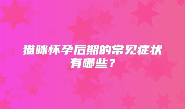 猫咪怀孕后期的常见症状有哪些？
