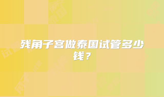 残角子宫做泰国试管多少钱？