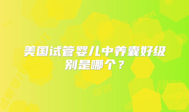 美国试管婴儿中养囊好级别是哪个?