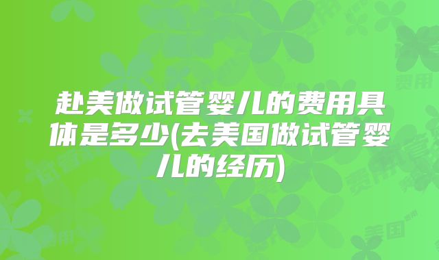 赴美做试管婴儿的费用具体是多少(去美国做试管婴儿的经历)