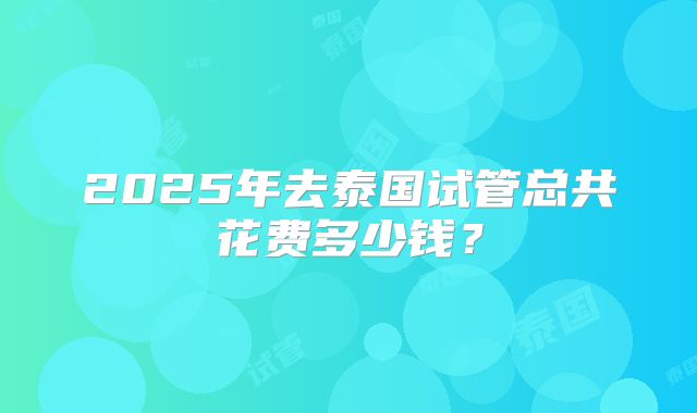 2025年去泰国试管总共花费多少钱？