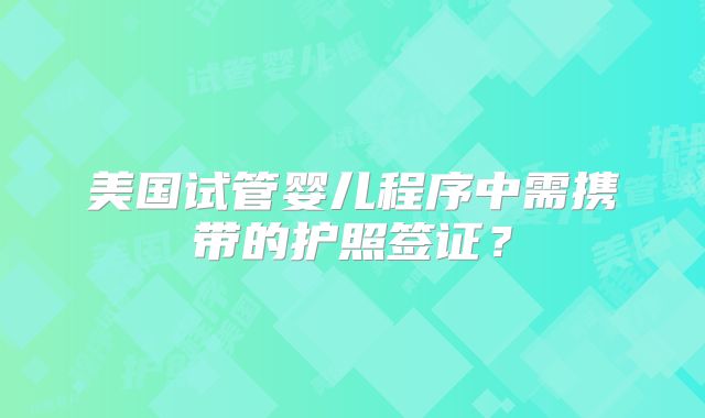 美国试管婴儿程序中需携带的护照签证?