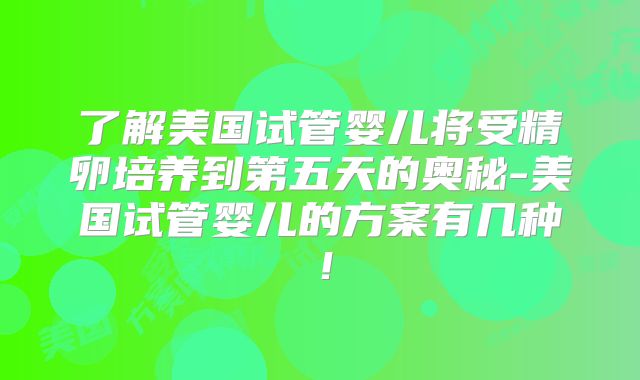 了解美国试管婴儿将受精卵培养到第五天的奥秘-美国试管婴儿的方案有几种！