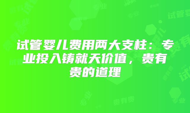 试管婴儿费用两大支柱：专业投入铸就天价值，贵有贵的道理