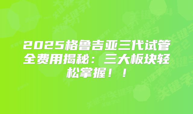 2025格鲁吉亚三代试管全费用揭秘：三大板块轻松掌握！！