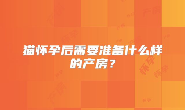 猫怀孕后需要准备什么样的产房？