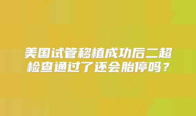美国试管移植成功后二超检查通过了还会胎停吗？