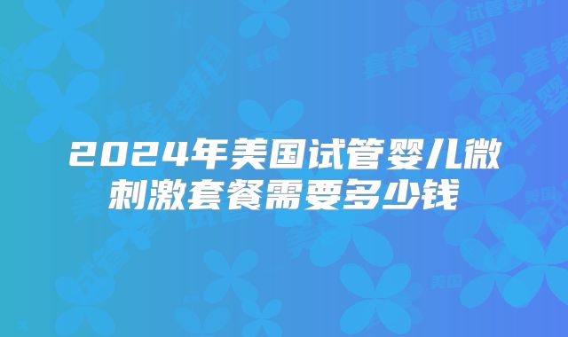 2024年美国试管婴儿微刺激套餐需要多少钱