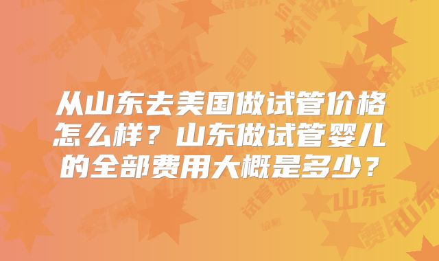 从山东去美国做试管价格怎么样？山东做试管婴儿的全部费用大概是多少？
