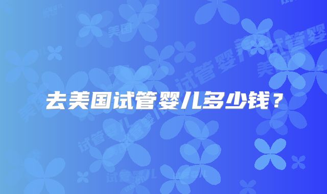 去美国试管婴儿多少钱？