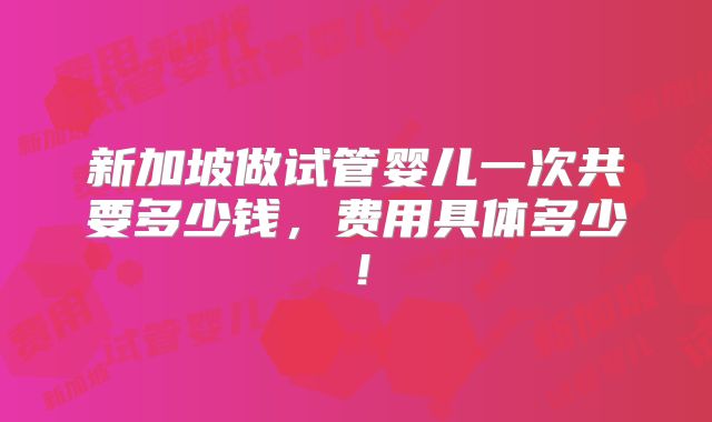 新加坡做试管婴儿一次共要多少钱，费用具体多少！