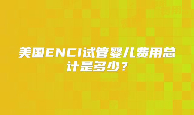 美国ENCI试管婴儿费用总计是多少？