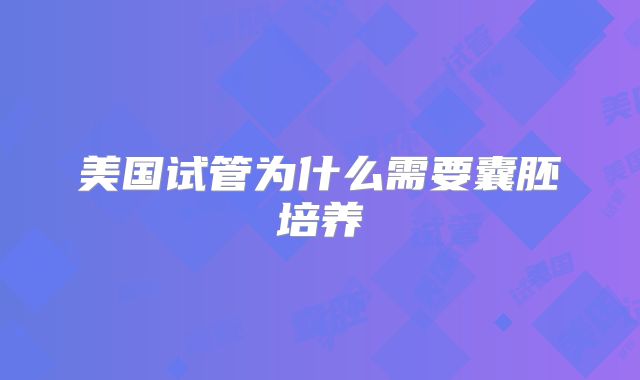 美国试管为什么需要囊胚培养