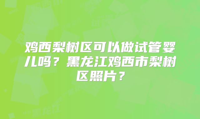 鸡西梨树区可以做试管婴儿吗？黑龙江鸡西市梨树区照片？