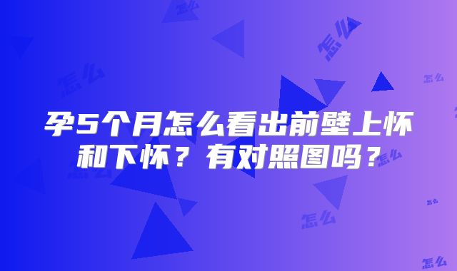 孕5个月怎么看出前壁上怀和下怀？有对照图吗？