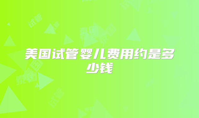 美国试管婴儿费用约是多少钱