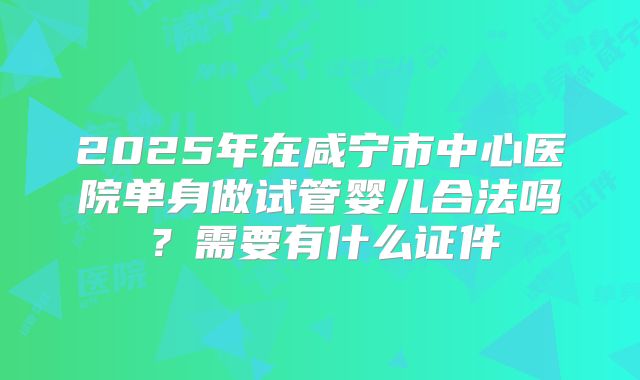 2025年在咸宁市中心医院单身做试管婴儿合法吗？需要有什么证件