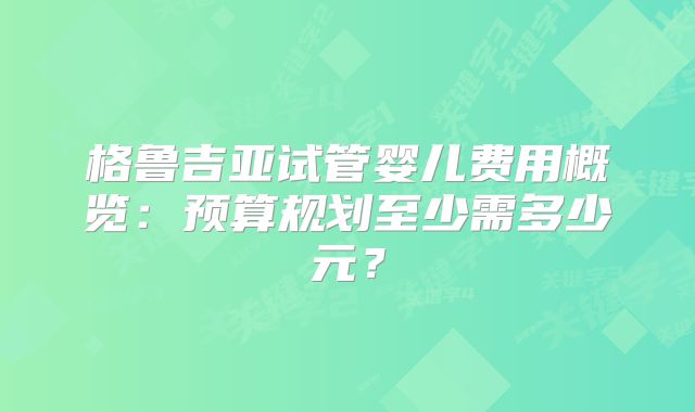 格鲁吉亚试管婴儿费用概览：预算规划至少需多少元？