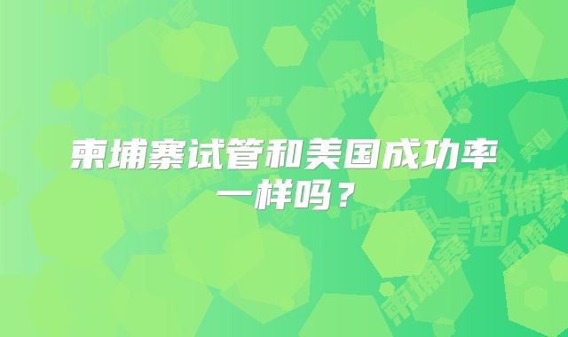 柬埔寨试管和美国成功率一样吗?
