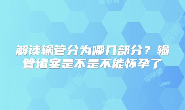 解读输管分为哪几部分？输管堵塞是不是不能怀孕了