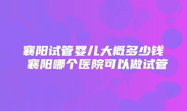 襄阳试管婴儿大概多少钱 襄阳哪个医院可以做试管