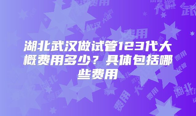 湖北武汉做试管123代大概费用多少？具体包括哪些费用