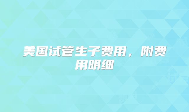 美国试管生子费用，附费用明细